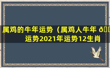 属鸡的牛年运势（属鸡人牛年 🐛 运势2021年运势12生肖 🐞 ）